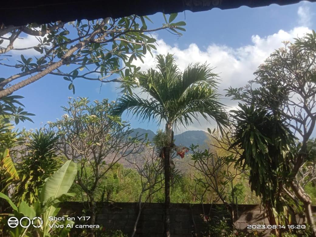 Tirta Bali Homestay ペムテラン エクステリア 写真