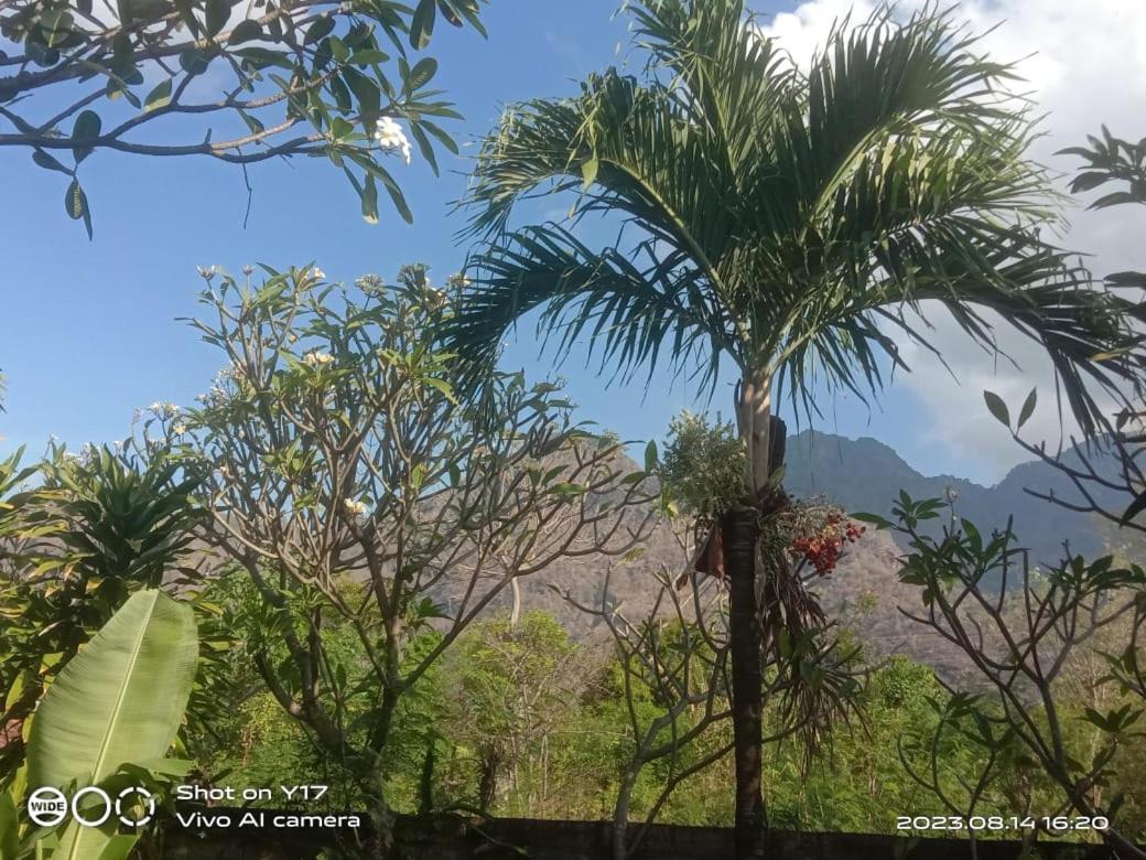 Tirta Bali Homestay ペムテラン エクステリア 写真
